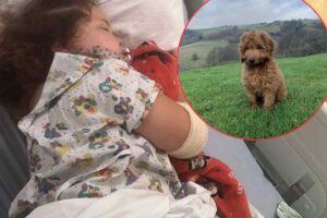 La bambina dopo l'operazione
