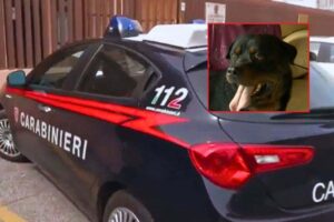 Auto dei Carabinieri