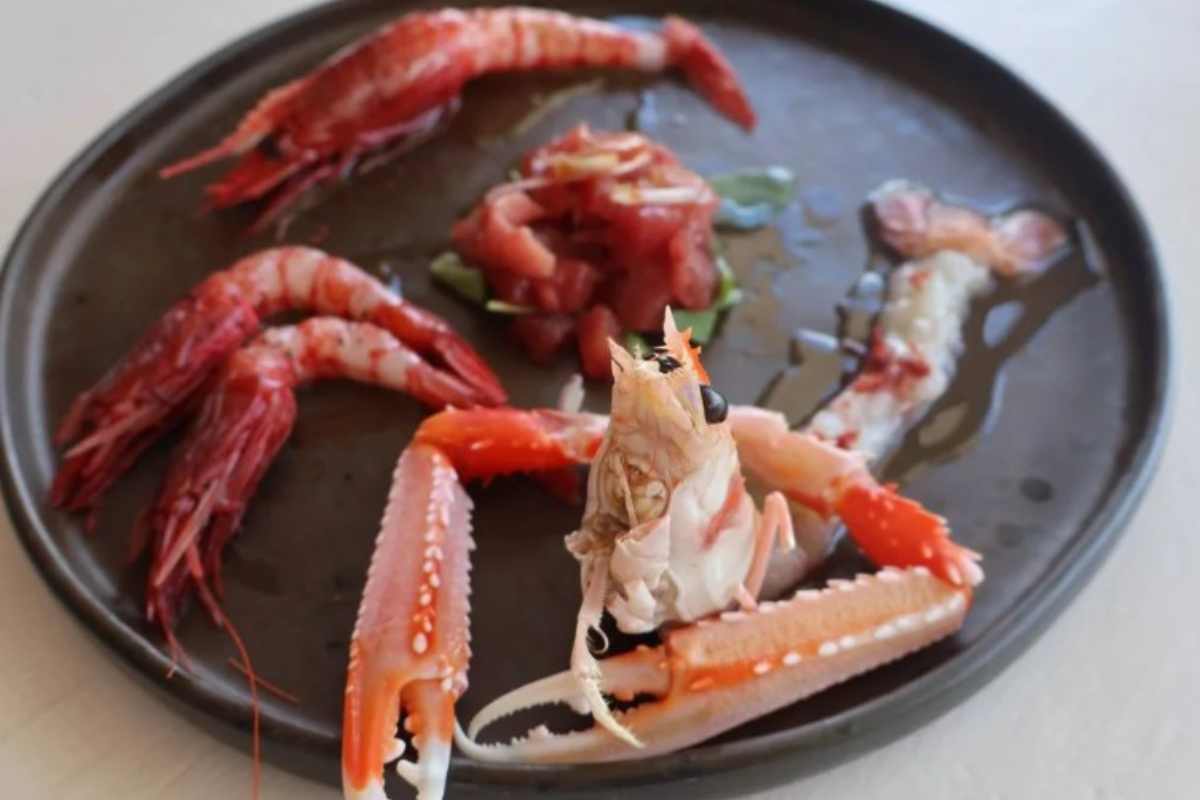 Crudo