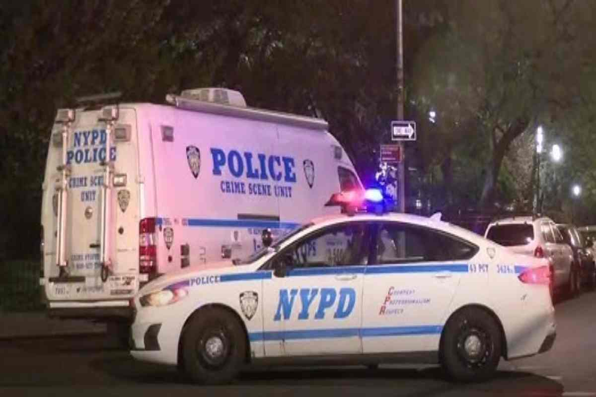 volanti della polizia di new york