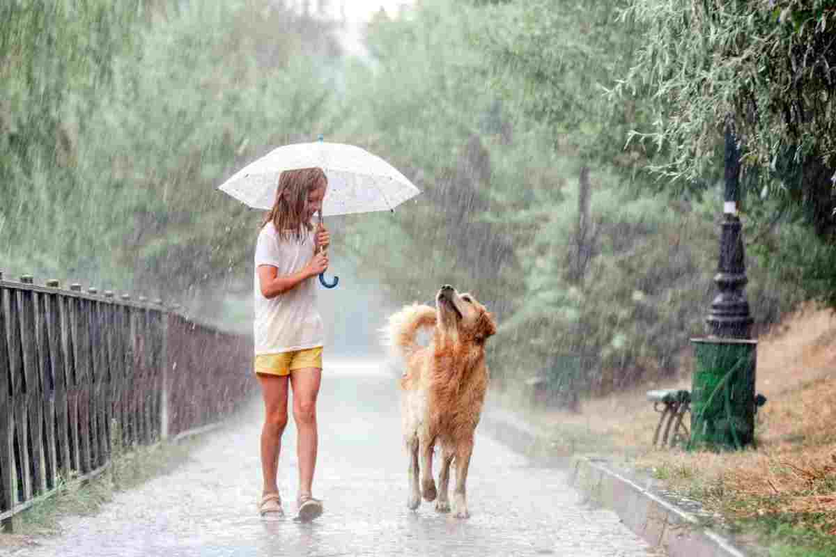 Una bambina e un cane sotto la pioggia