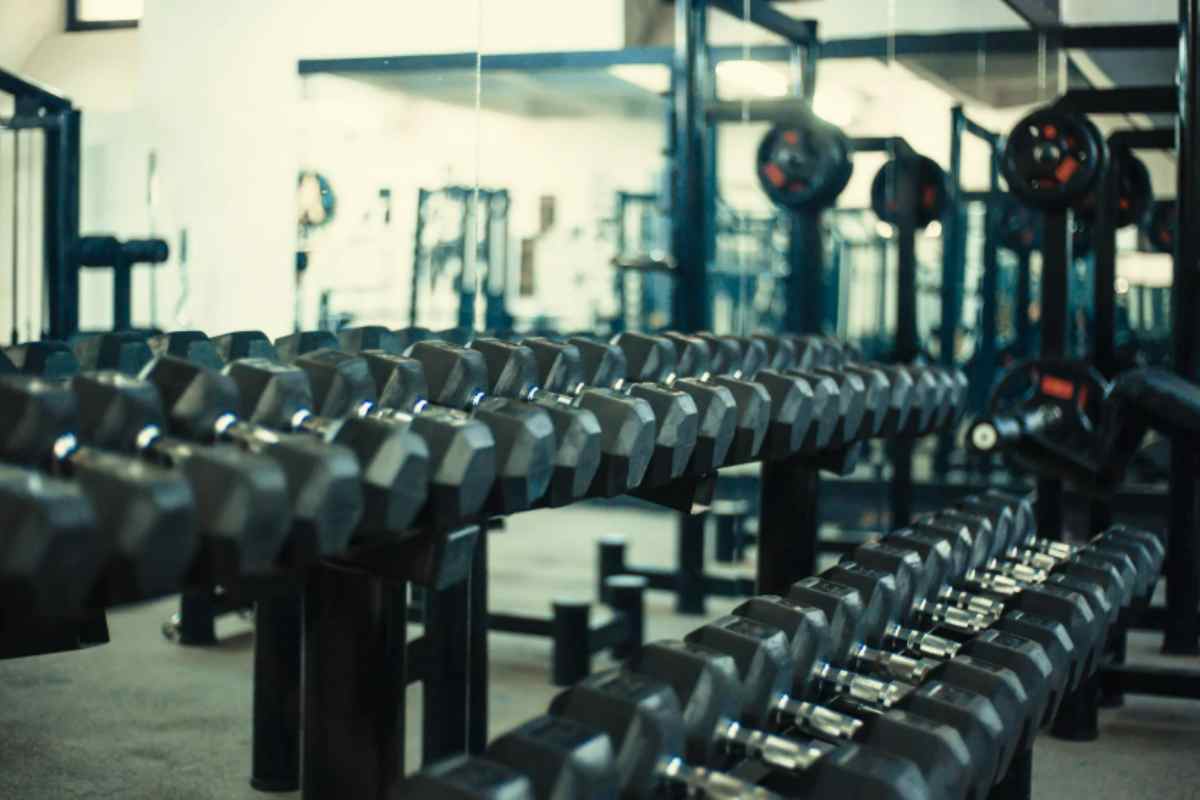 palestra